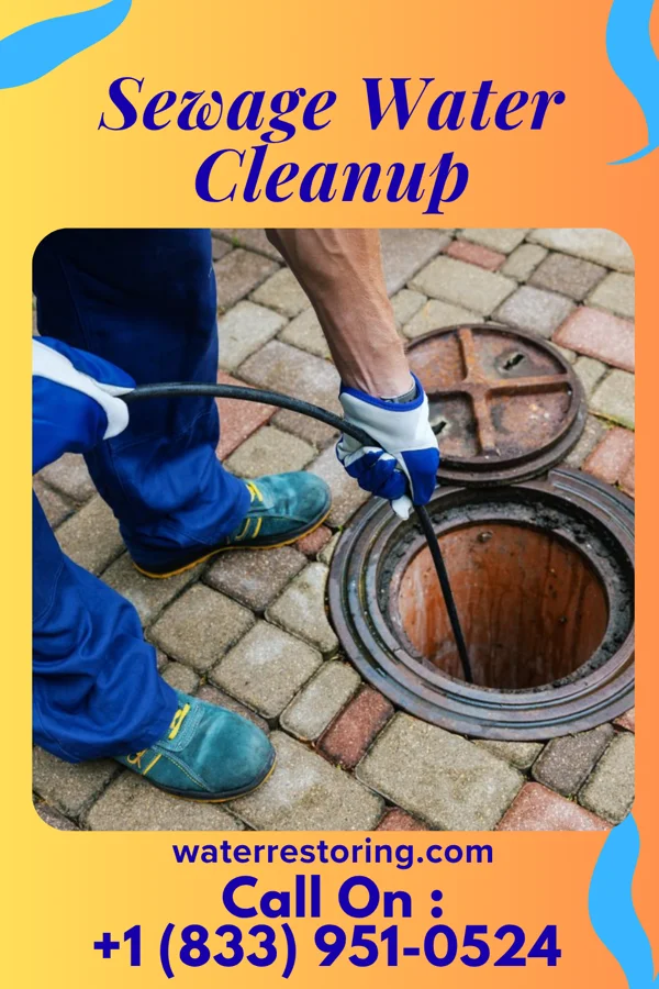 Sewage Water Cleanup in Warm Beach, WA
